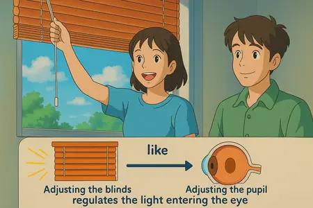 Watch pupil Simple Definition