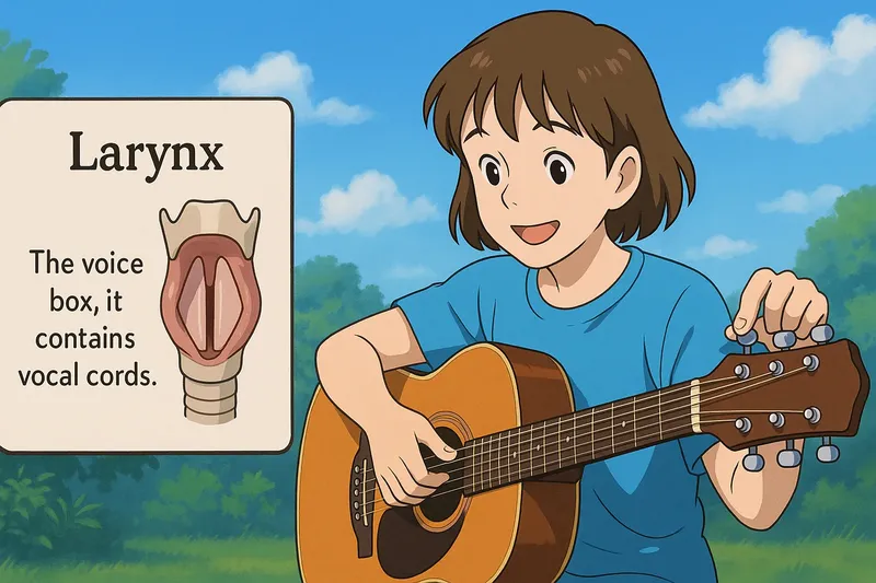 Larynx Simple Definition Larynx Simple Definition