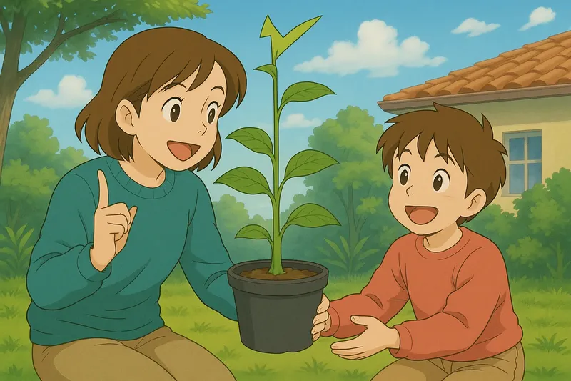 Primary Growth Simple Definition
