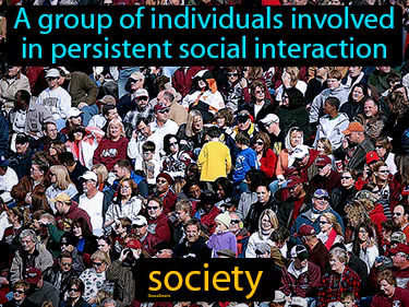 a group of individuals involved in persistent social interaction