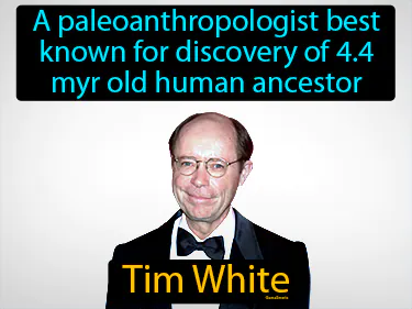 a paleoanthropologist best known for discovery of 4.4 myr old human ancestor