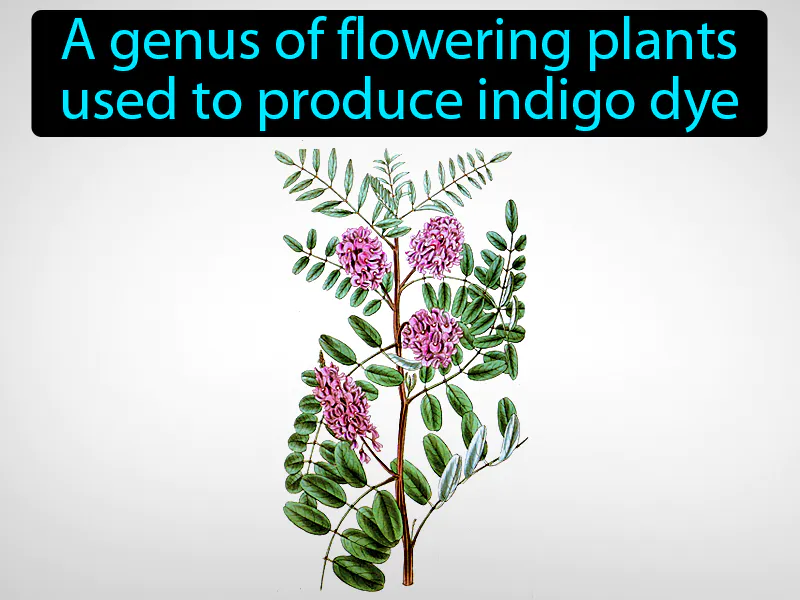 Indigo Definition