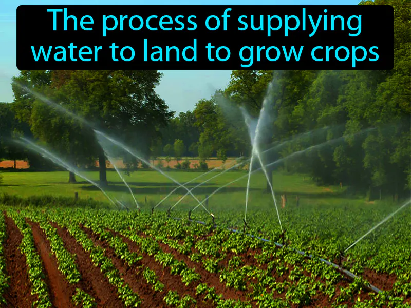 Irrigation Definition Irrigation Definition