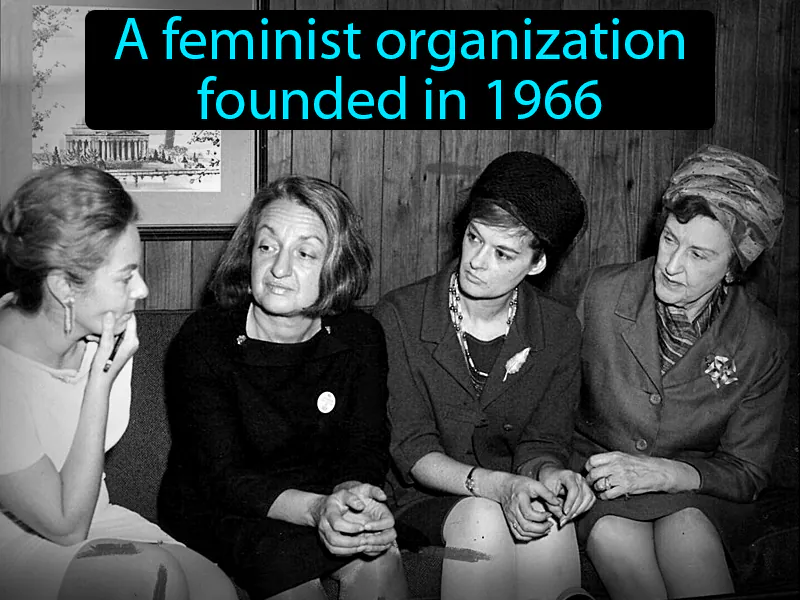 National Organization For Women Definition