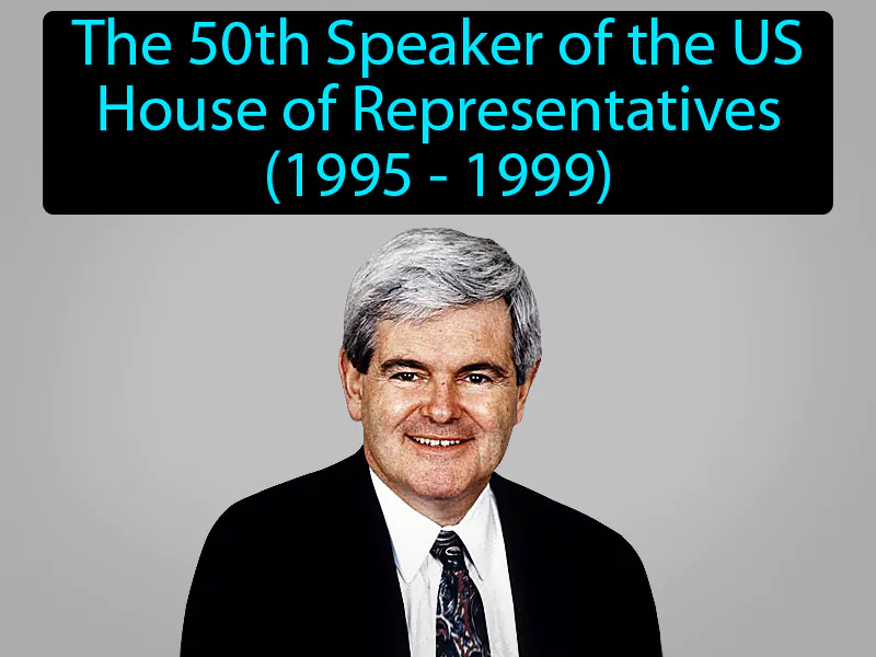 Newt Gingrich Definition Newt Gingrich Definition