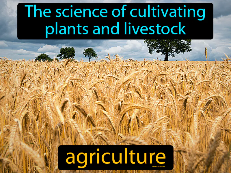 Agriculture Definition Agriculture Definition
