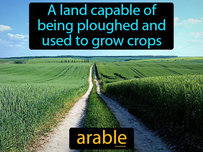 Arable Definition