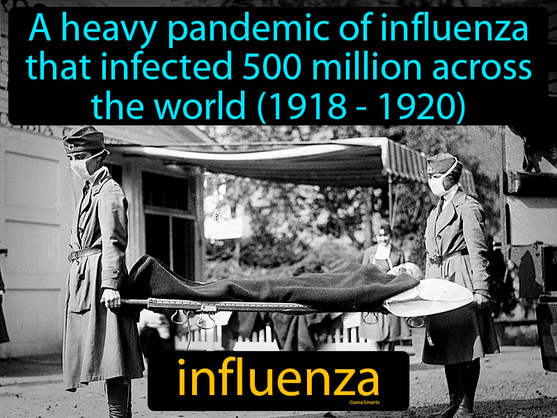 Influenza Definition