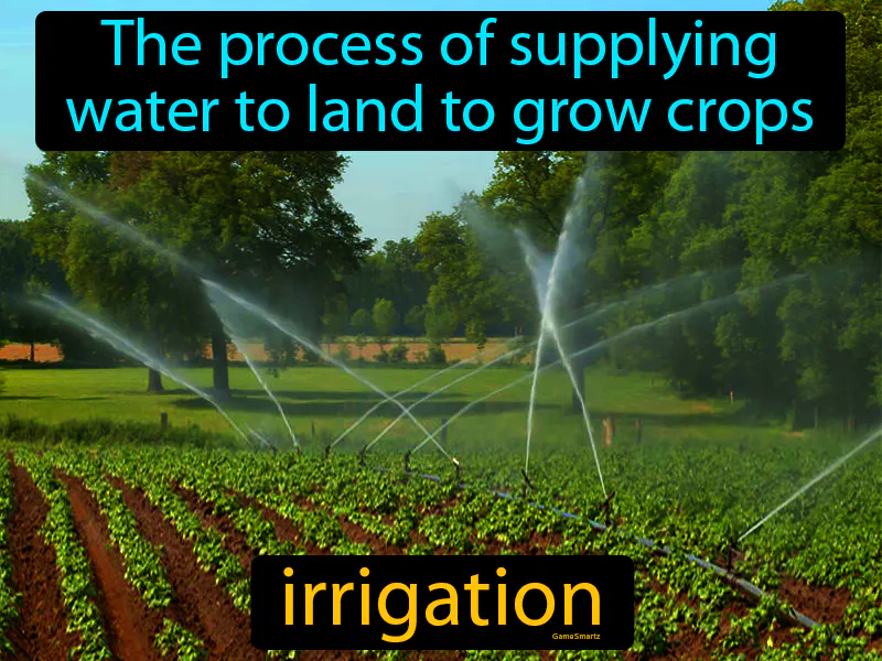 Irrigation Definition Irrigation Definition