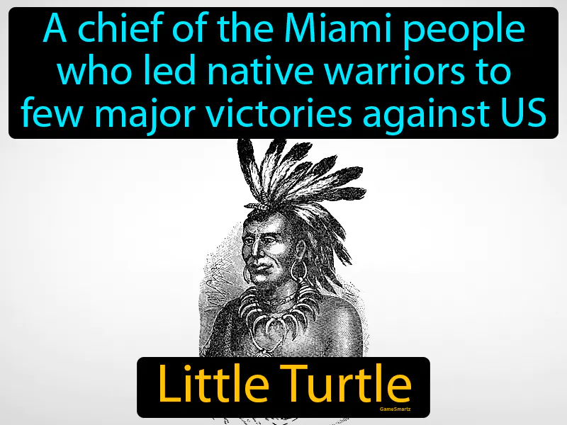 Little Turtle Definition Little Turtle Definition