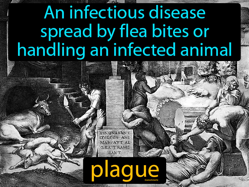 Plague Definition Plague Definition