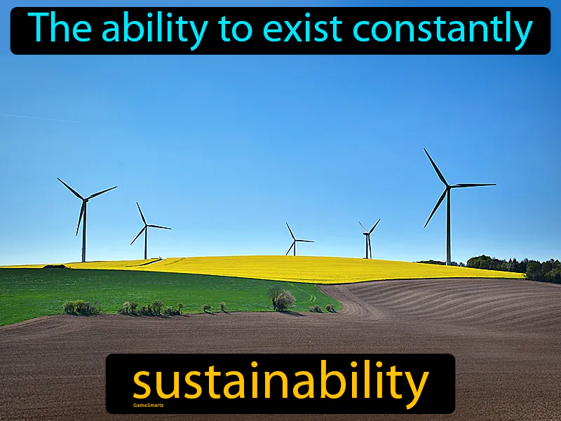 Sustainability Definition
