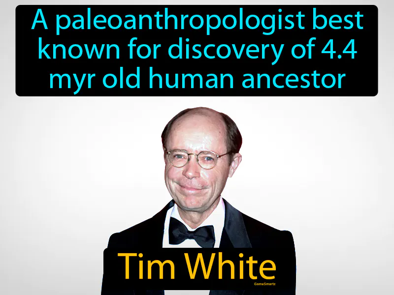 Tim White Definition Tim White Definition