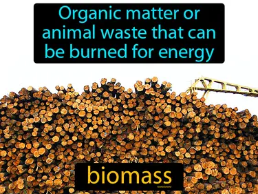 organic matter or animal waste that can be burned for energy