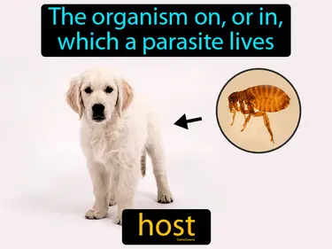 The organism on, or in, which a parasite lives