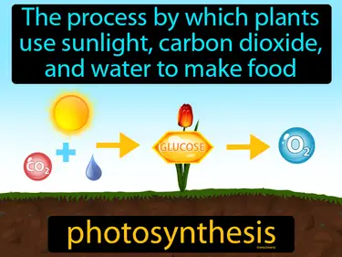 Ecosystems and Interactions of Living Things