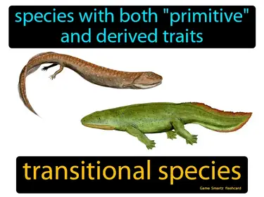 Species with both "primitive" and derived traits