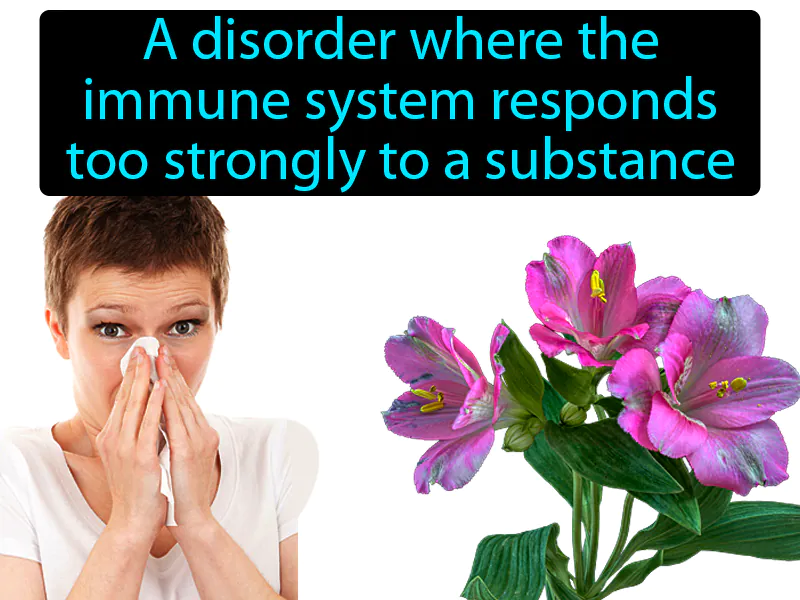 Allergy Definition Allergy Definition