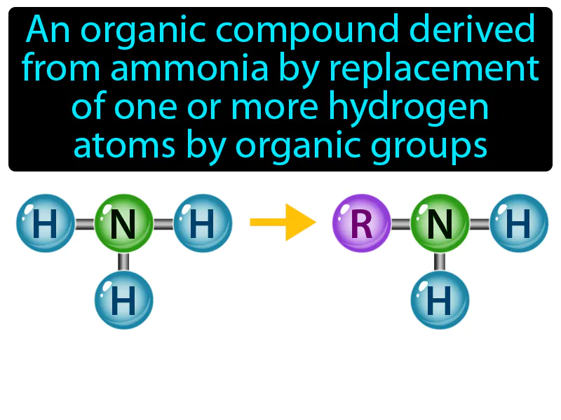 Amine Definition Amine Definition