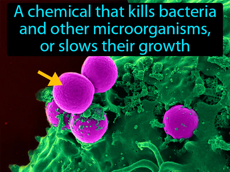 Antibiotic Definition Antibiotic Definition