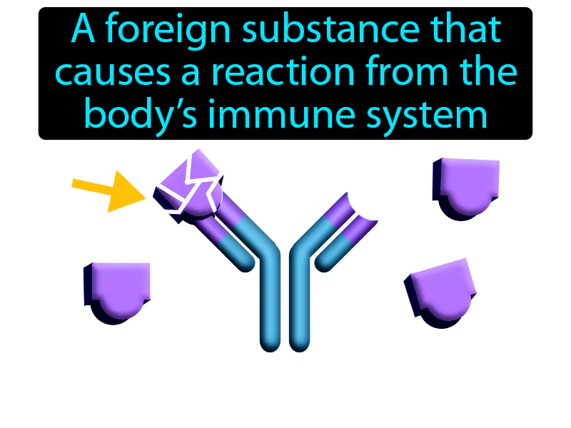 Antigen Definition Antigen Definition