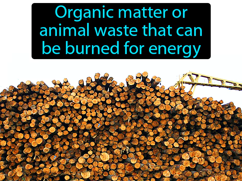 Biomass Definition Biomass Definition