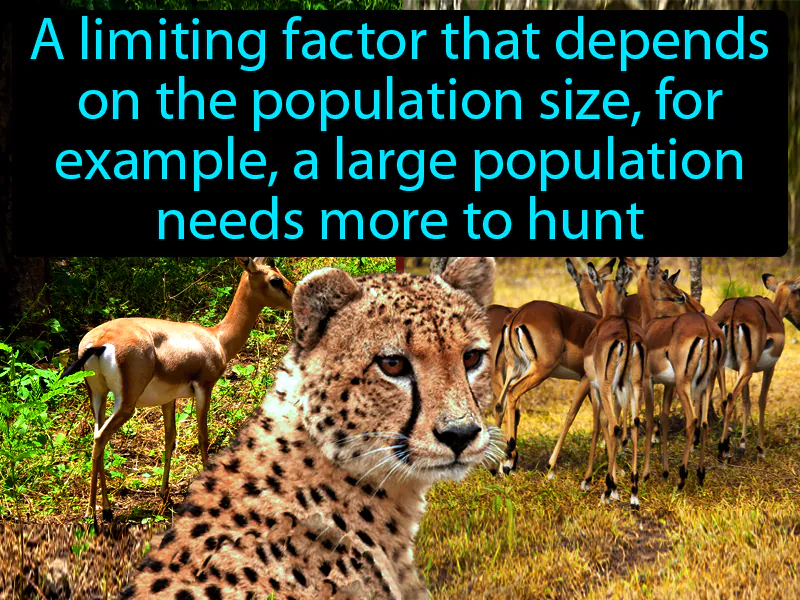 Density Dependent Factor Definition Density Dependent Factor Definition