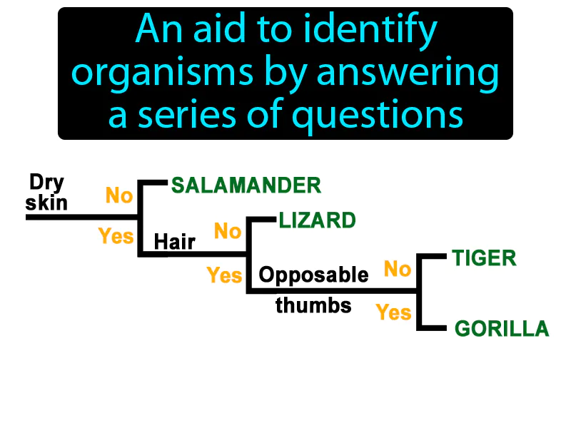 Dichotomous Key Definition Dichotomous Key Definition
