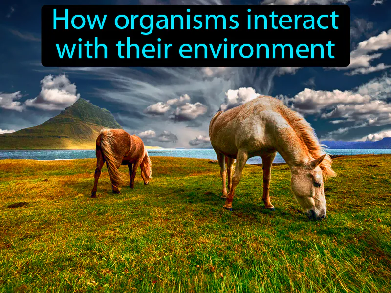 Ecology Definition Ecology Definition