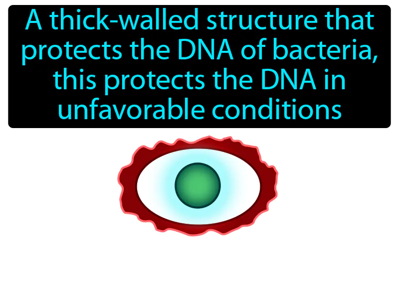 Endospore Definition Endospore Definition