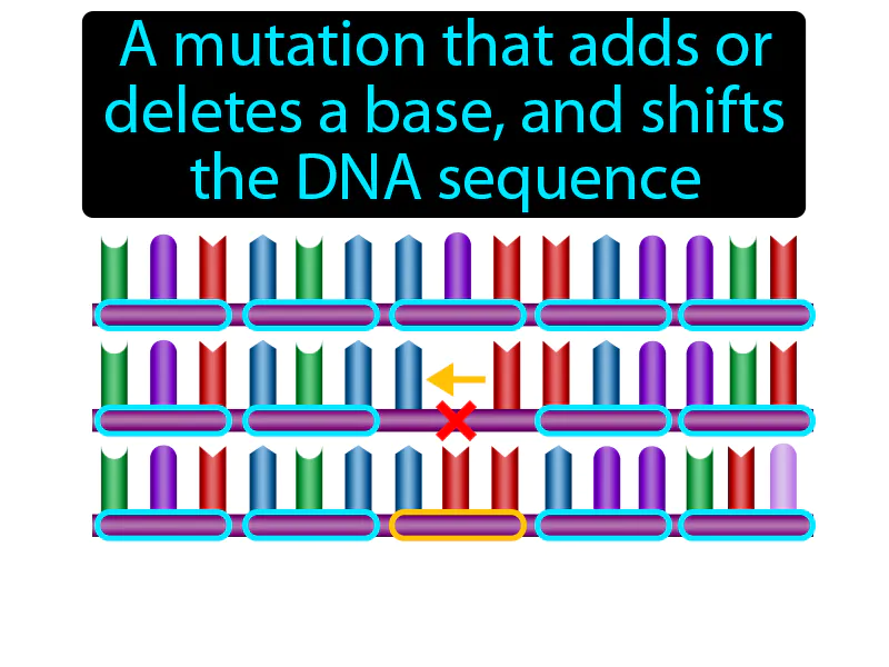 Frameshift Mutation Definition Frameshift Mutation Definition