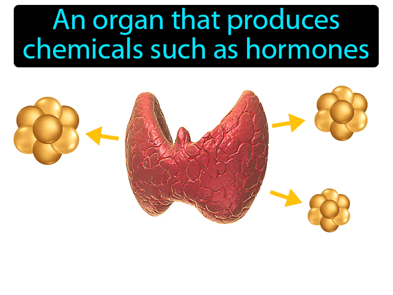 Gland Definition
