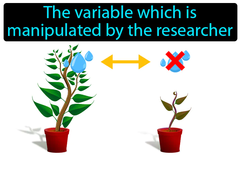 Independent Variable Definition Independent Variable Definition