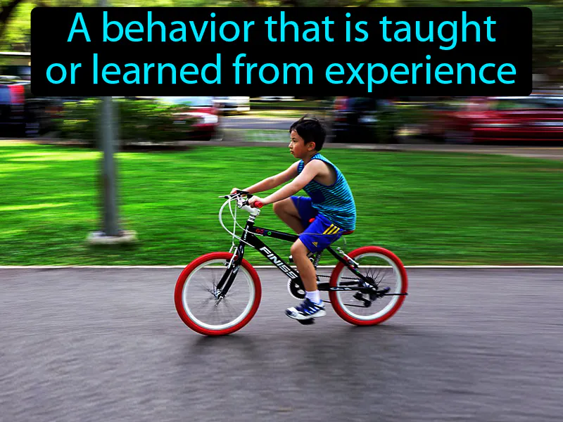 Learned Behavior Definition Learned Behavior Definition