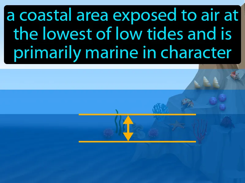 Low-intertidal Zone Definition Low-intertidal Zone Definition