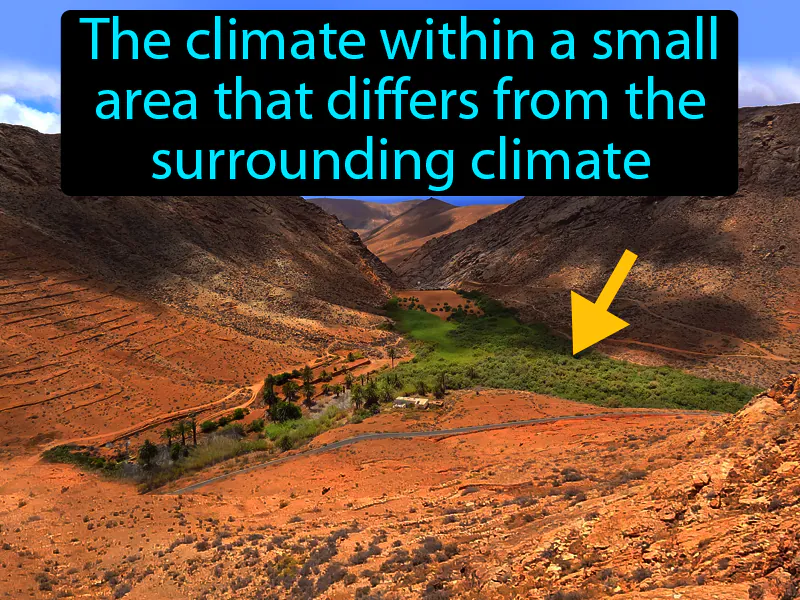 Microclimate Definition Microclimate Definition
