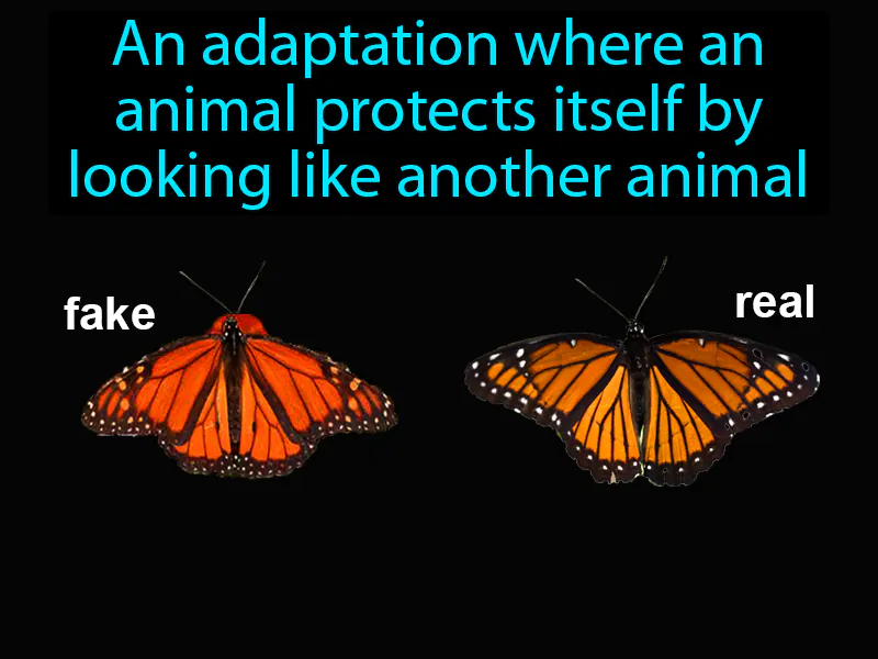 Mimicry Definition