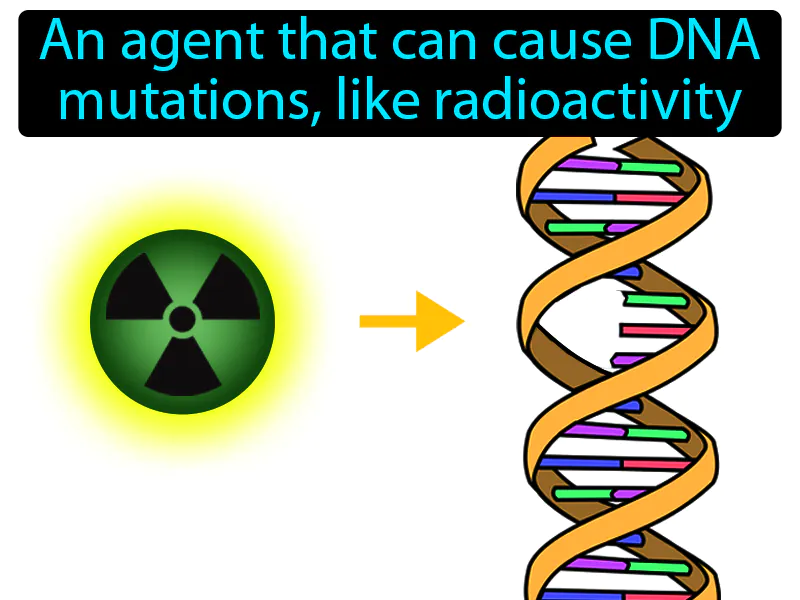 Mutagen Definition Mutagen Definition