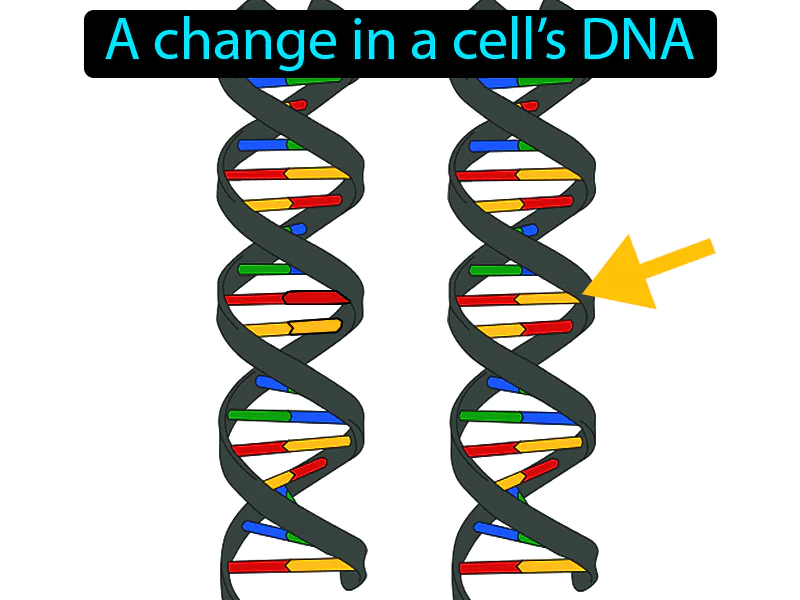 Mutation Definition Mutation Definition