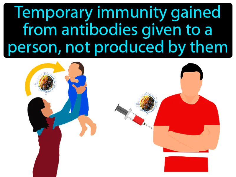 Passive Immunity Definition Passive Immunity Definition