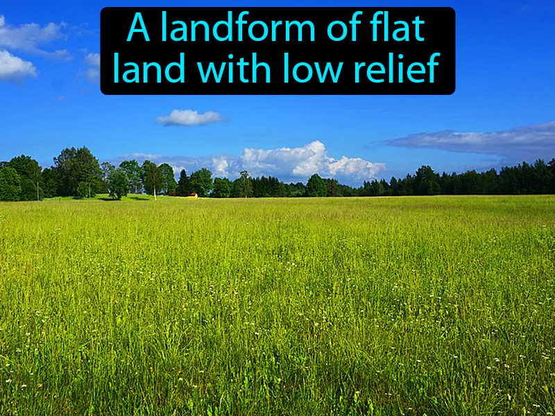 Plain Definition