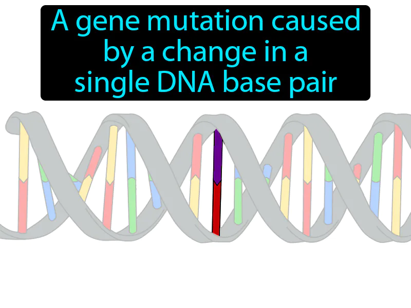 Point Mutation Definition Point Mutation Definition