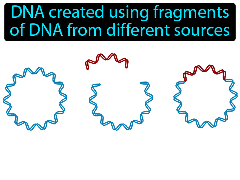 Recombinant DNA Definition Recombinant DNA Definition