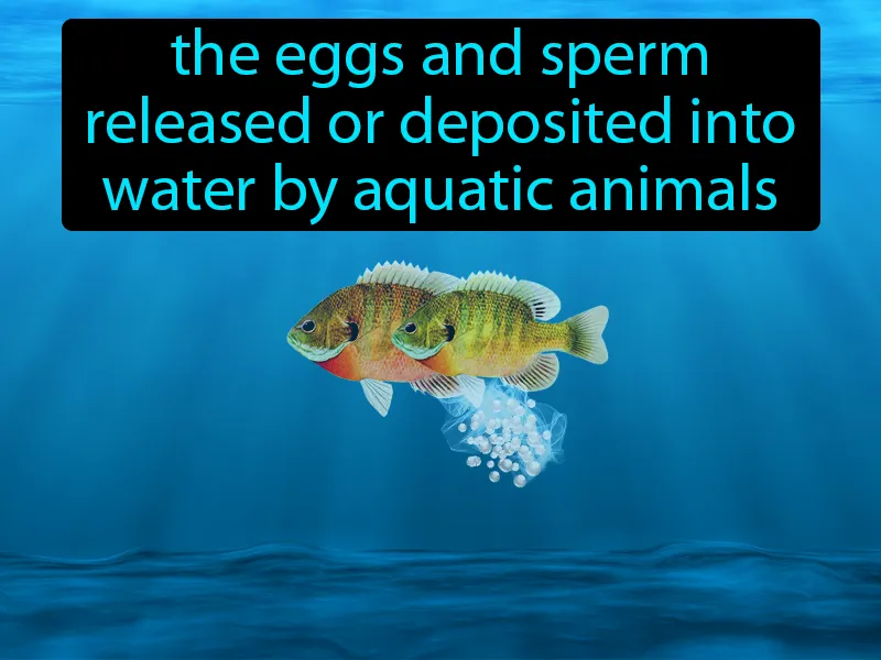 Spawning Definition Spawning Definition