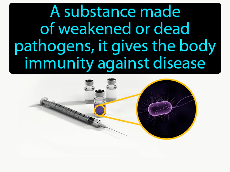 Vaccine Definition Vaccine Definition