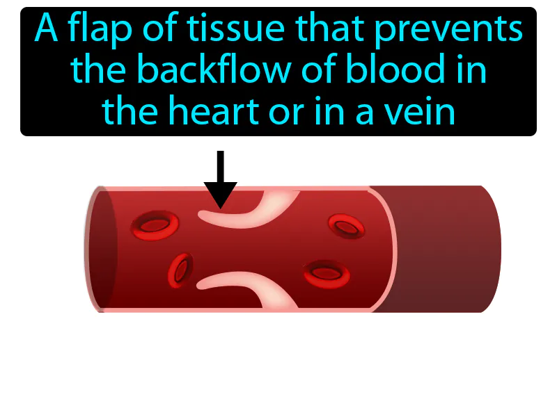Valve Definition Valve Definition