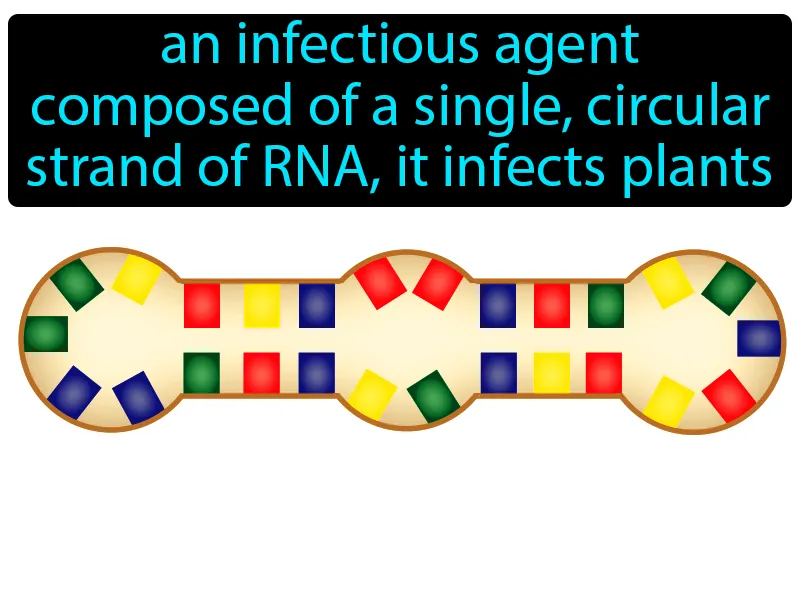 Viroid Definition Viroid Definition