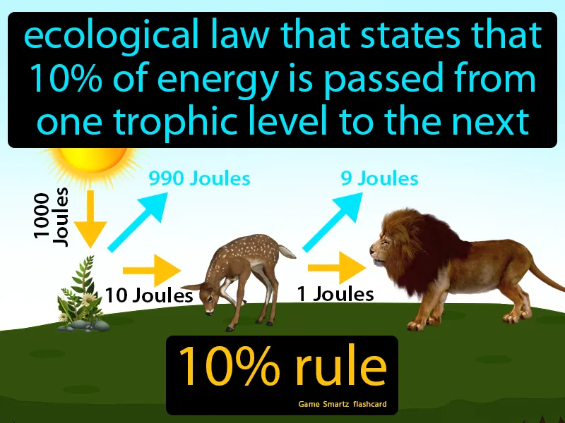 10 Percent Rule Definition 10 Percent Rule Definition