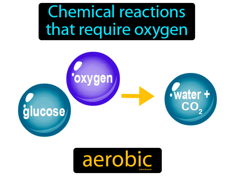 Aerobic Definition