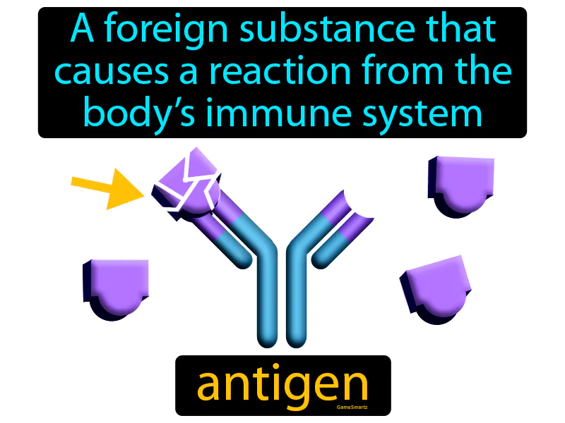 Antigen Definition Antigen Definition